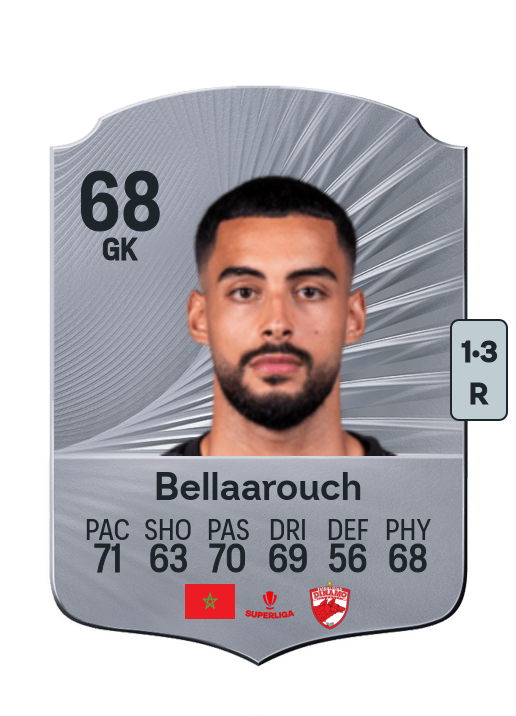 Alaa Bellaarouch