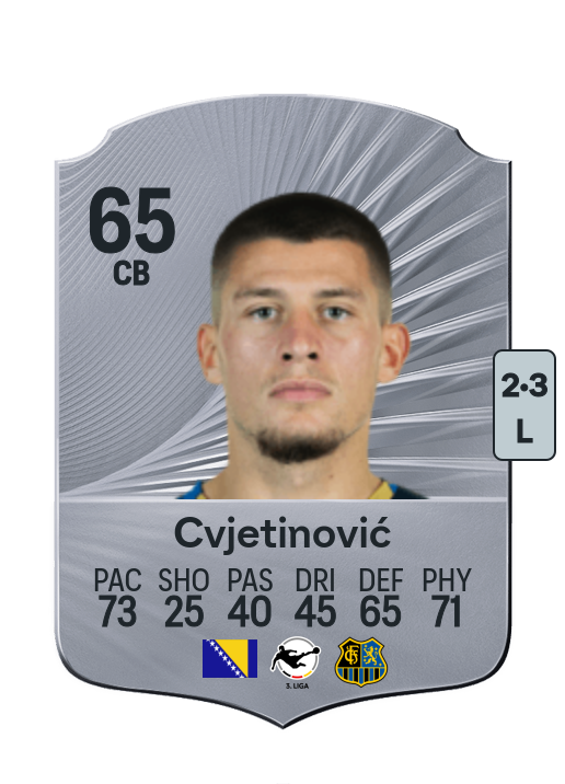 Mladen Cvjetinović