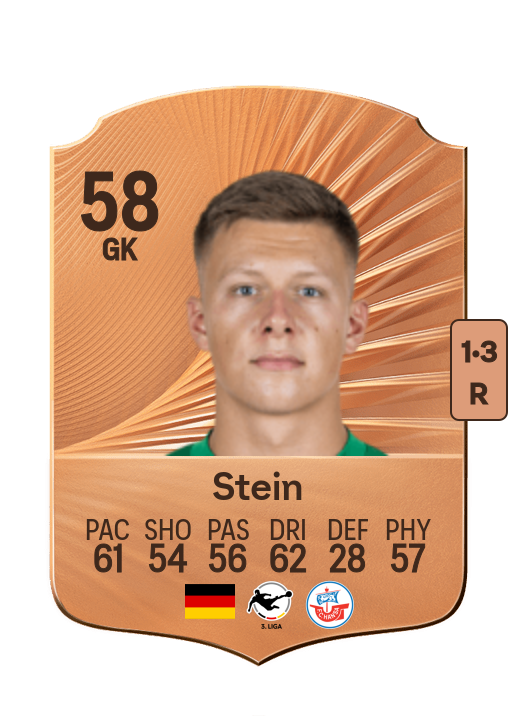 Yannic Stein