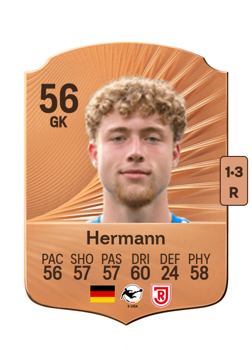 Hannes Hermann