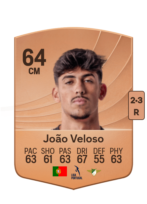 João Miguel Fins Veloso