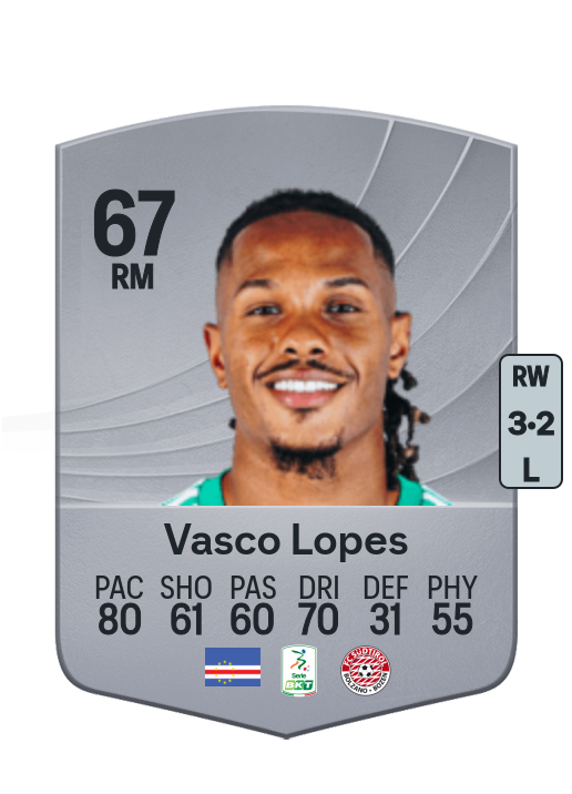 Vasco Rafael Fortes Lopes
