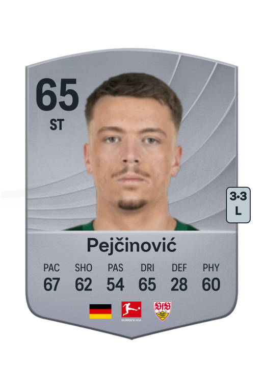 Dženan Pejčinović