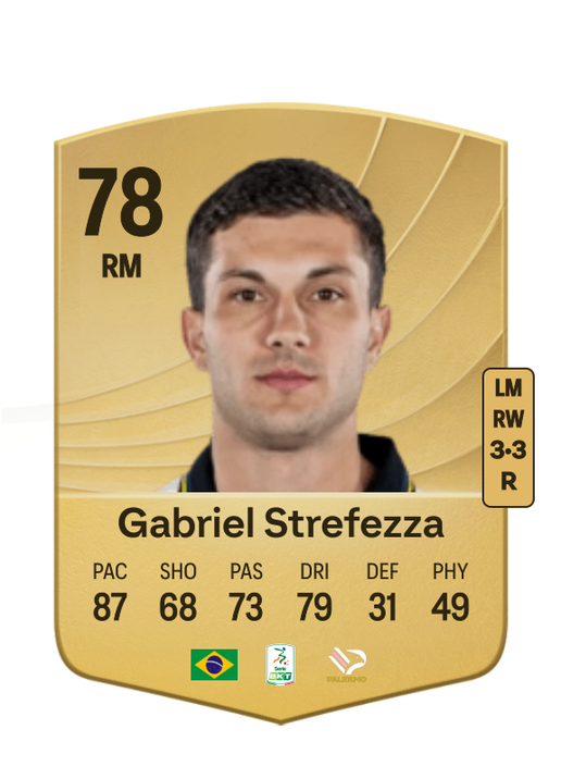 Gabriel Tadeu Strefezza Rebelato