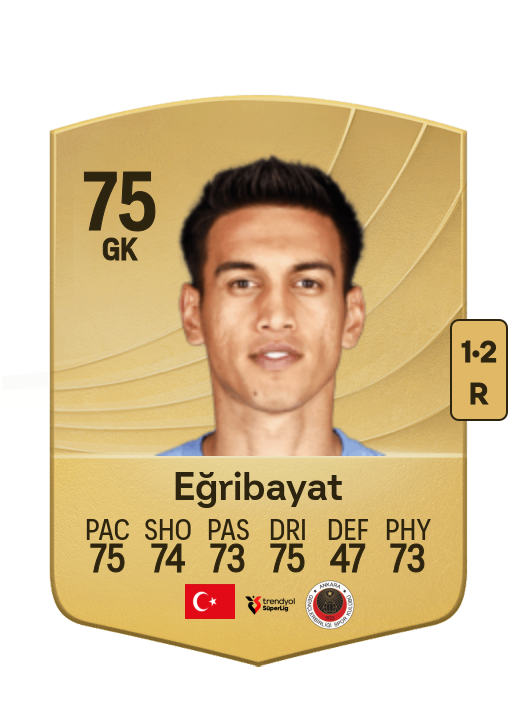 İrfan Can Eğribayat