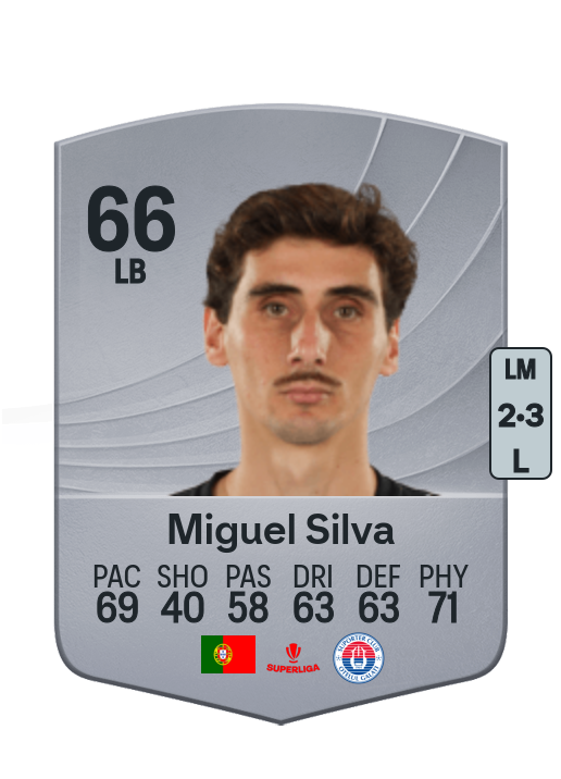 Miguel Gomes da Silva
