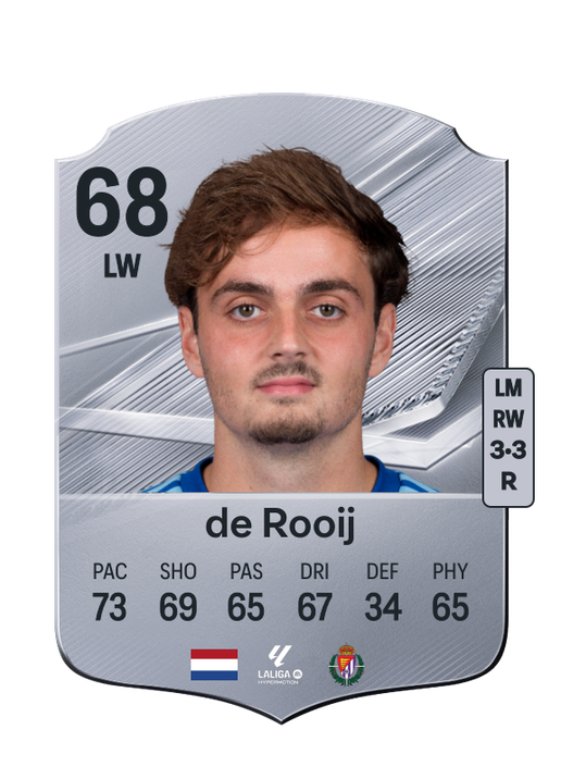 de Rooij