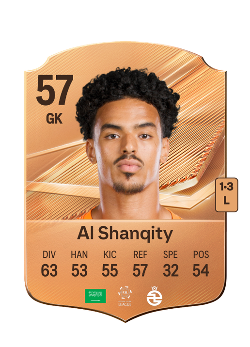 Al Shanqity