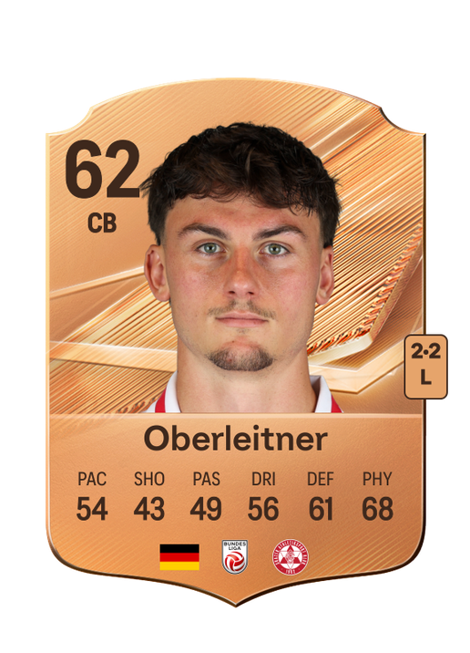 Oberleitner