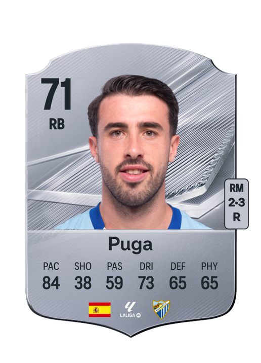 Puga