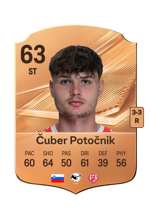 Čuber Potočnik