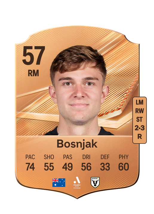 Bosnjak