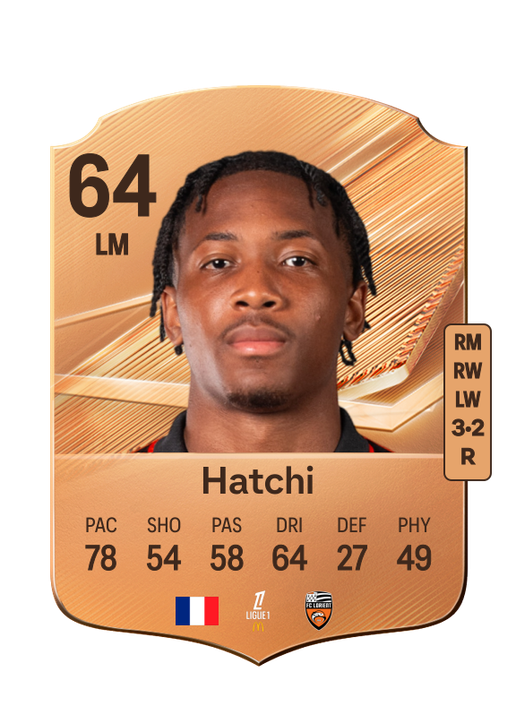 Hatchi