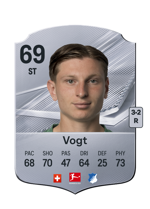 Vogt