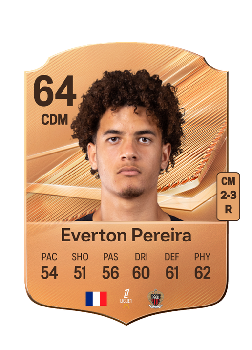 Everton Pereira