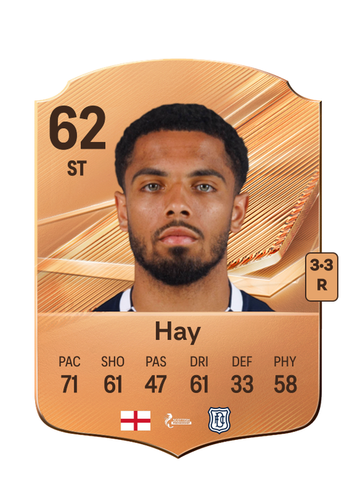 Hay