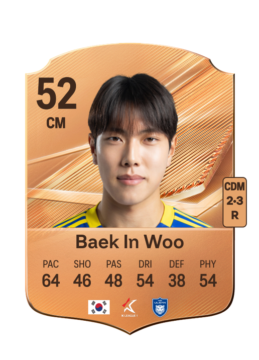 Baek In Woo