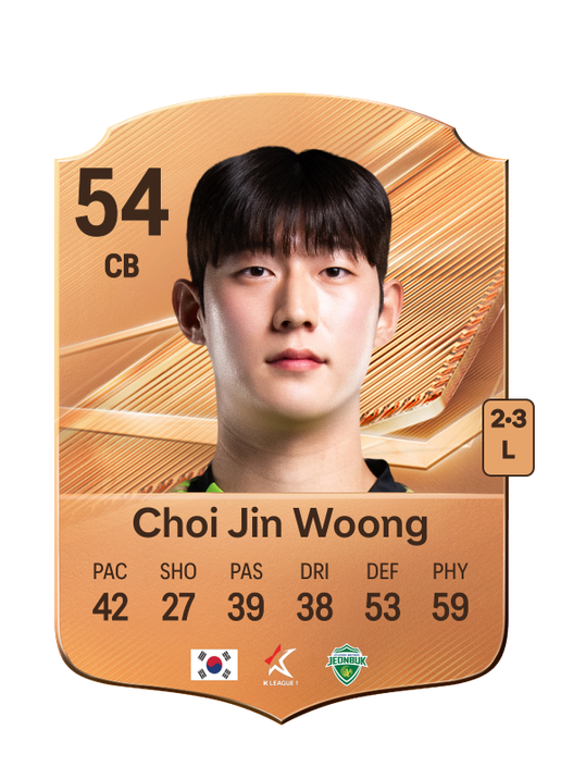 Choi Jin Woong