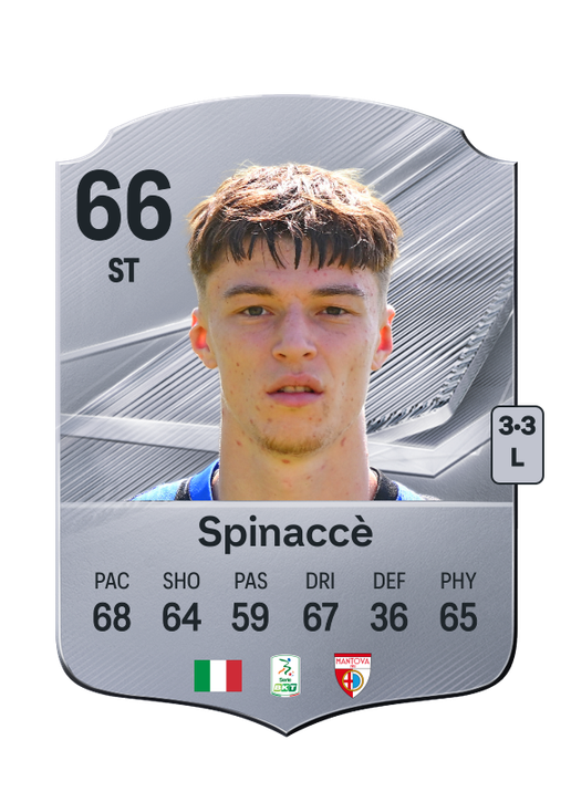 Spinaccè