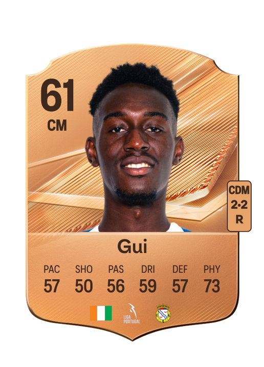 Gui