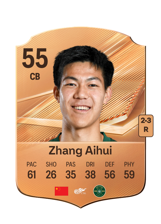 Zhang Aihui
