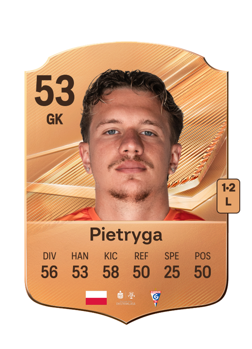 Pietryga