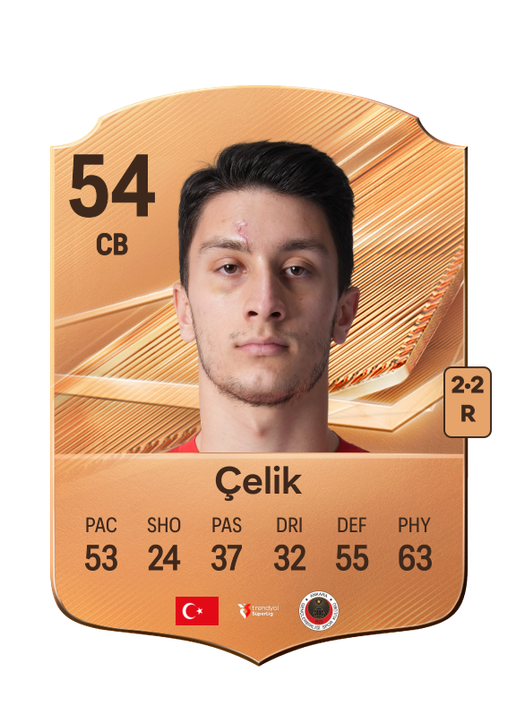 Çelik