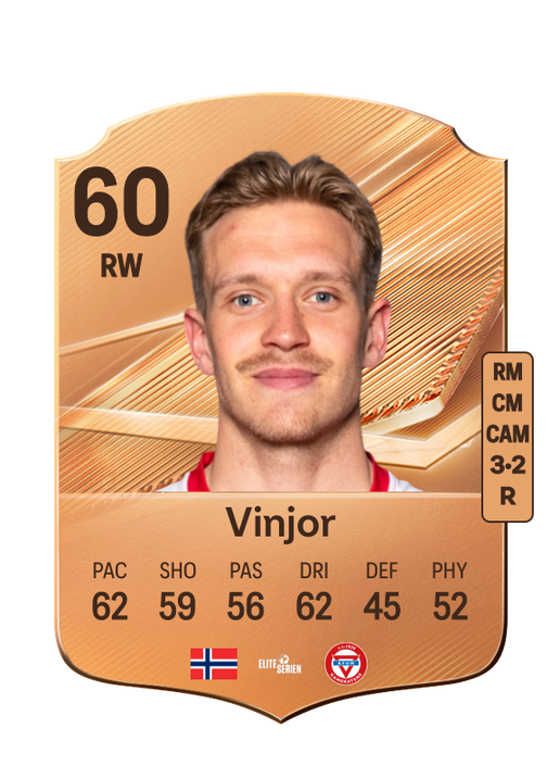 Vinjor