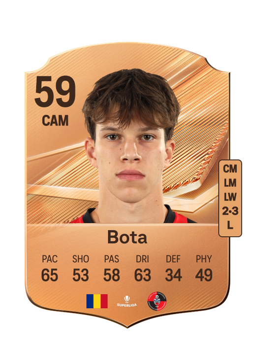 Bota