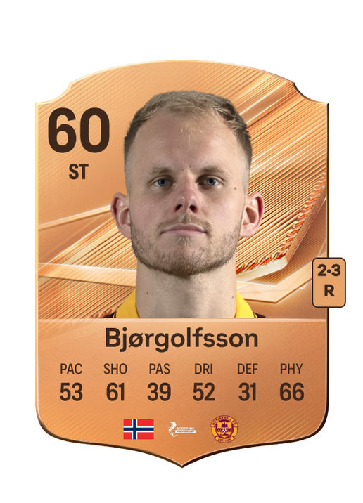 Bjørgolfsson