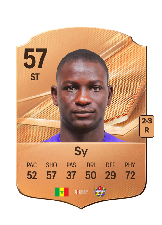 Sy