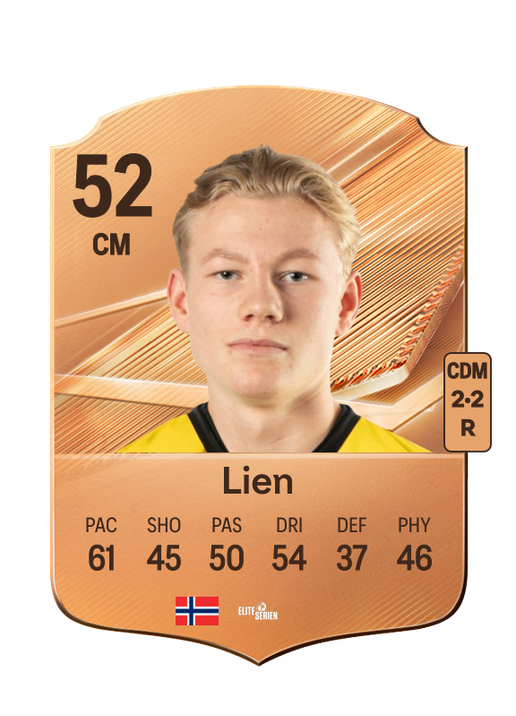 Lien