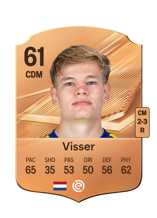 Visser