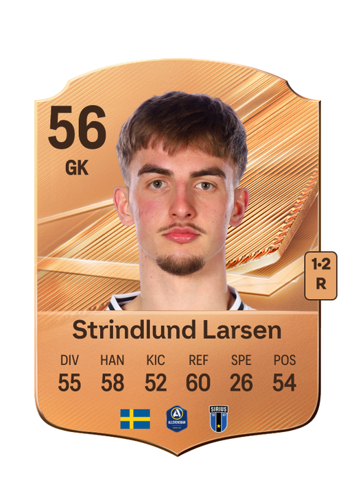 Strindlund Larsen