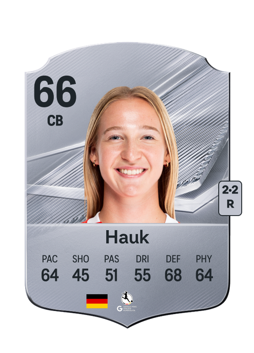 Hauk