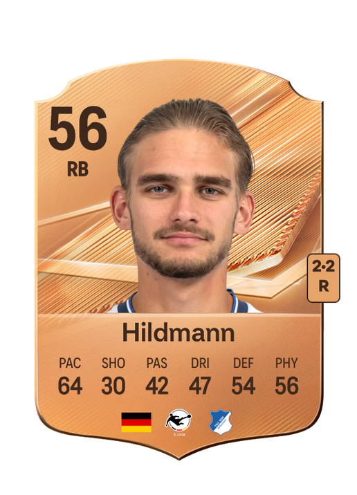 Hildmann
