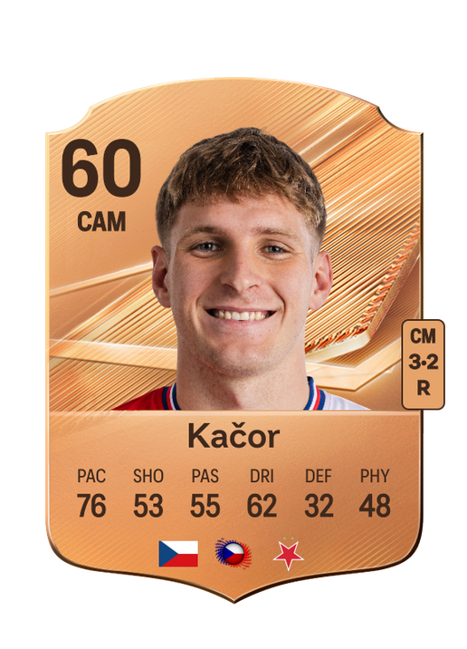 Kačor