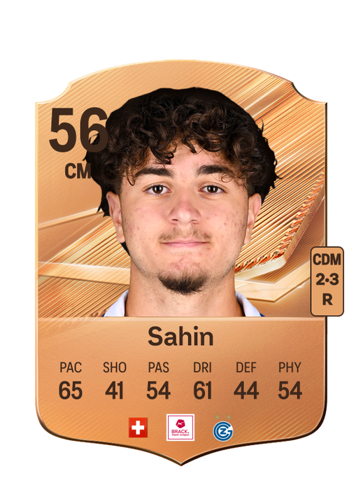 Sahin