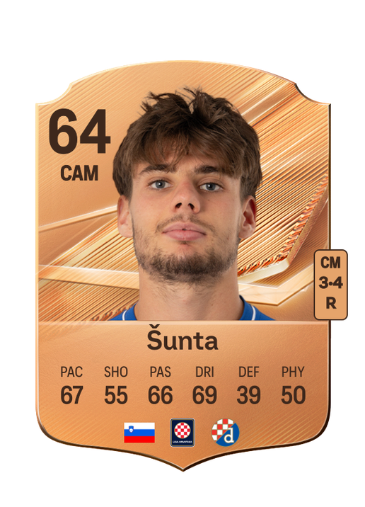 Šunta