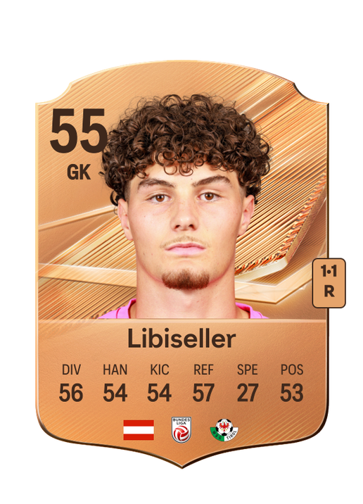 Libiseller