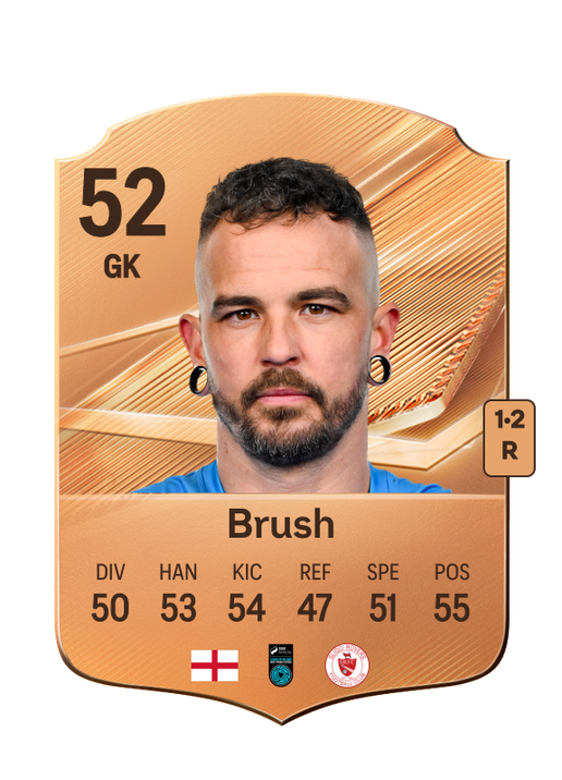 Brush