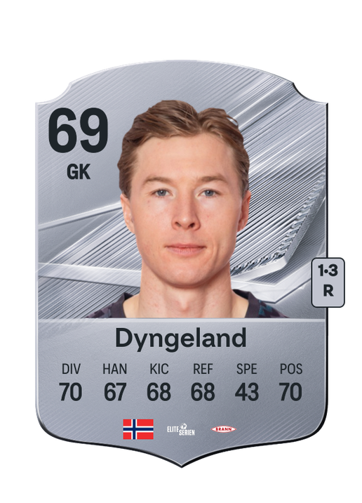 Dyngeland