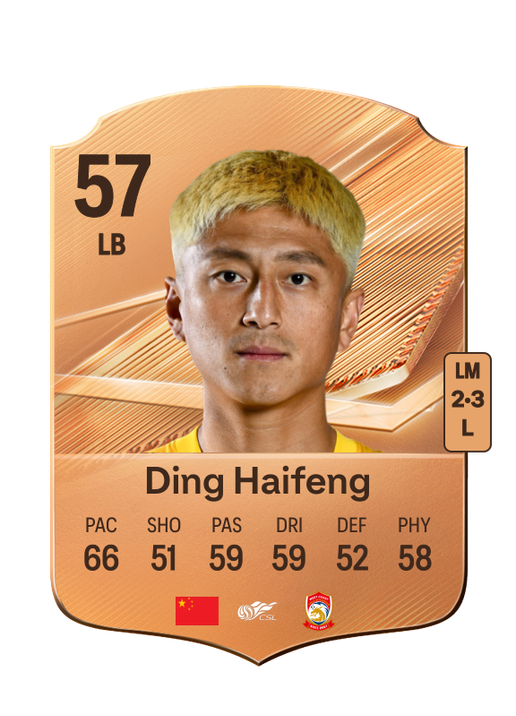 Ding Haifeng