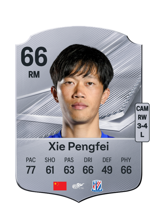 Xie Pengfei