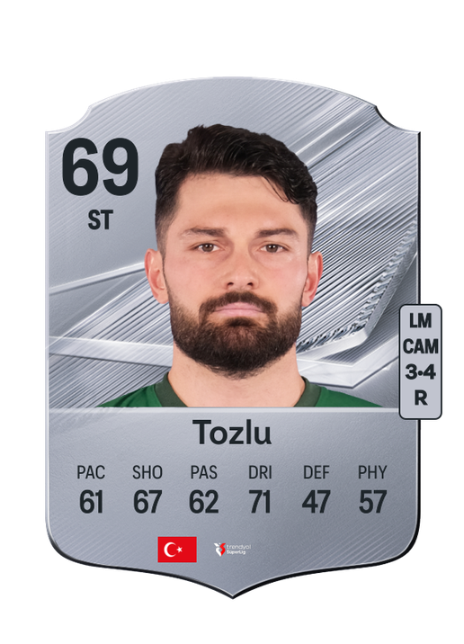 Tozlu