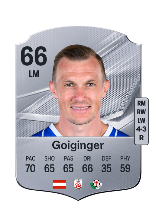 Goiginger