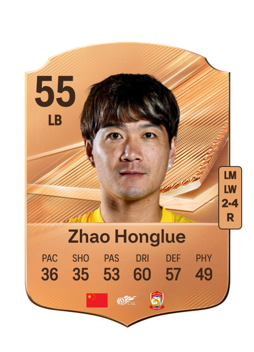 Zhao Honglue
