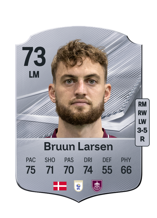 Bruun Larsen