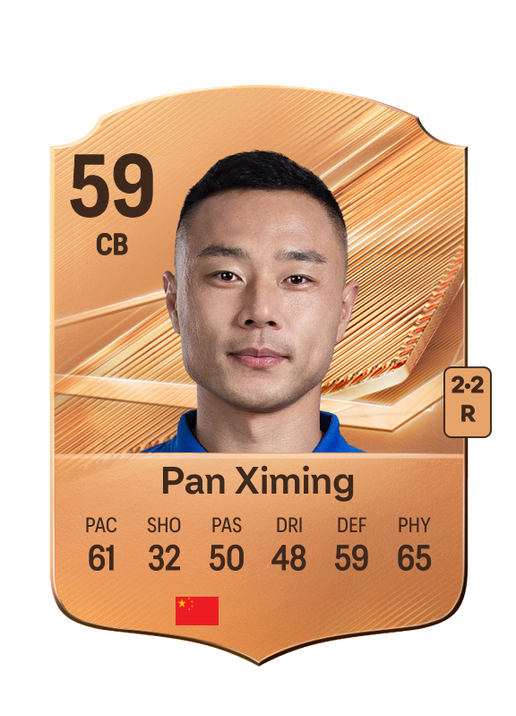 Pan Ximing