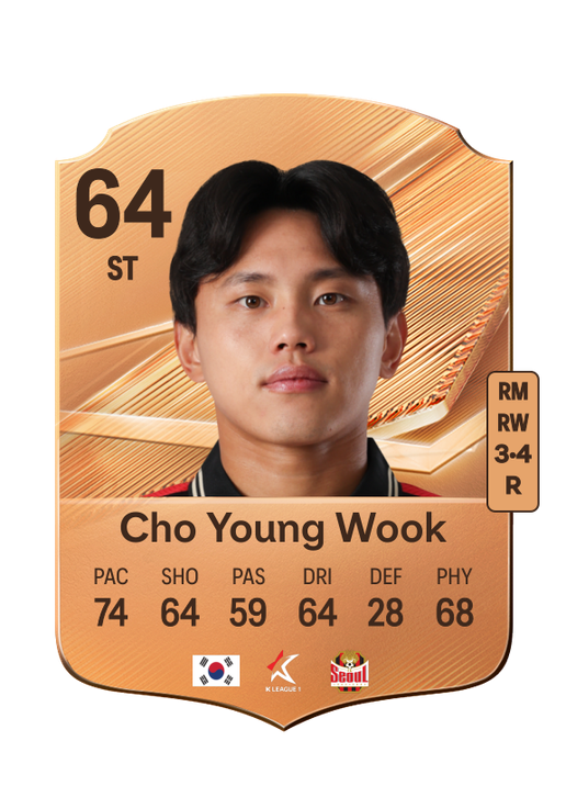 Cho Young Wook